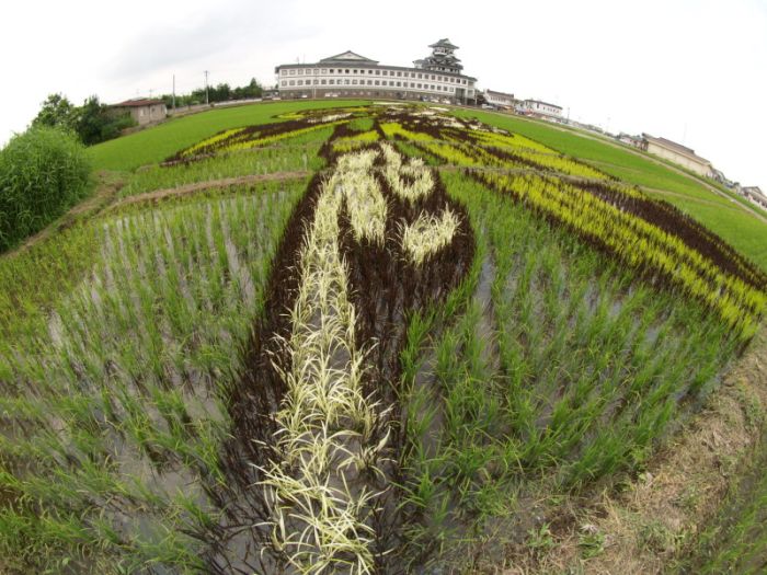 [Rice_Field_Art_05.jpg]