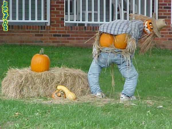[funny_scarecrows_08.jpg]
