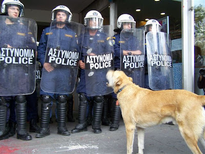 riot_dog_04.jpg