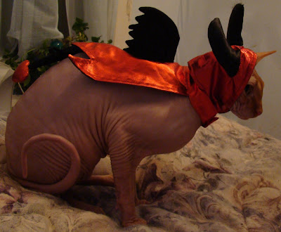 Adventures of A Naked Cat: Nofuratu Goes Trick-or-Treating