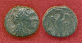 CNG: The Coin Shop. PTOLEMAIC KINGS of EGYPT. Ptolemy I Soter. 305