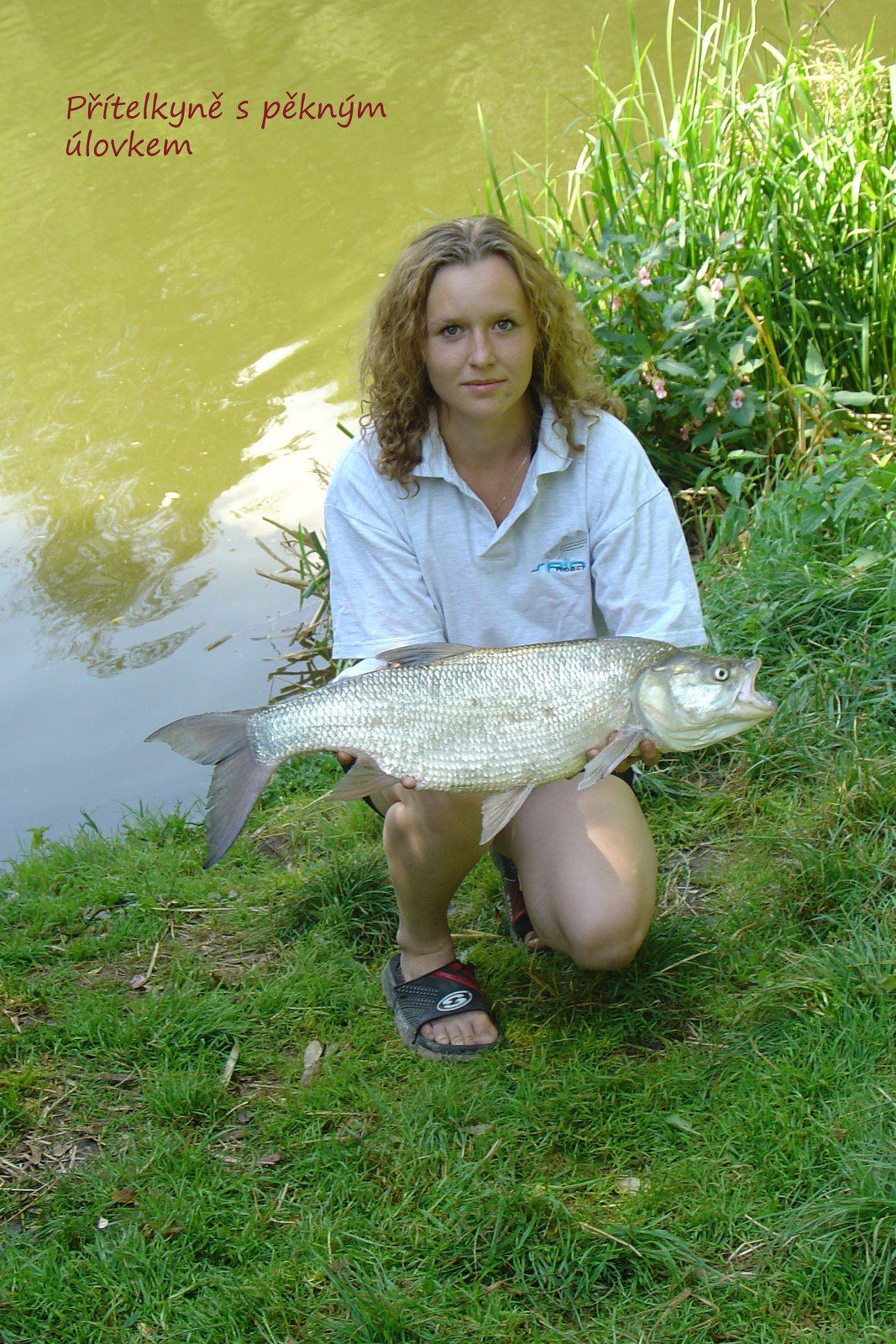 [DSC01393+kopie.jpg]