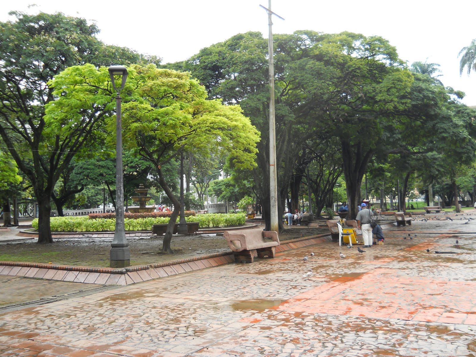 Alex's Big Trip Cali... Colombia's most dangerous city...