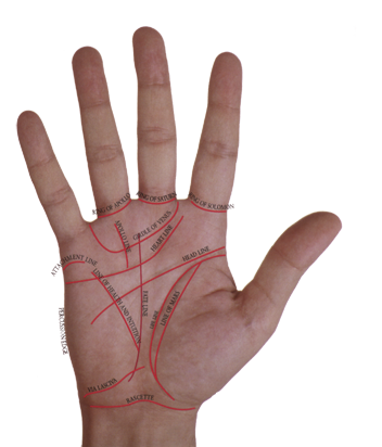 [Palmistry.png]