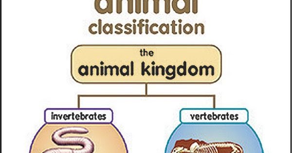 Free Printable Lesson Plans: Free Printable Animal Classification Lesson  Plans, Taxonomy Lessons