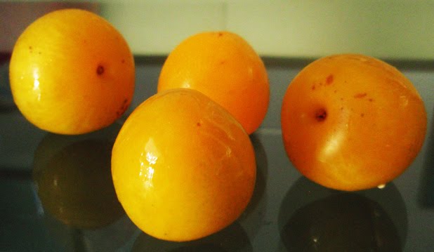 JALEA DE CIRUELAS AMARILLAS (golden japan)