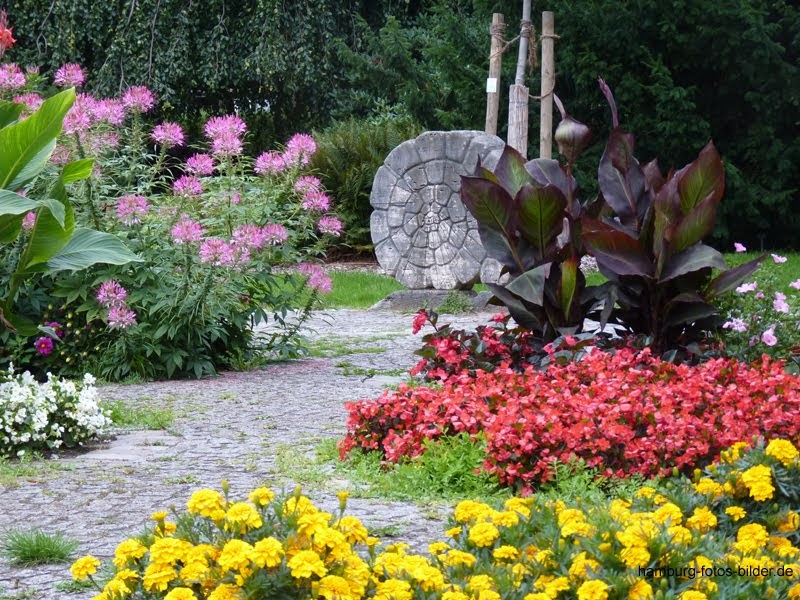 BOTANISCHER SONDERGARTEN Ausflugsziel in Hamburg