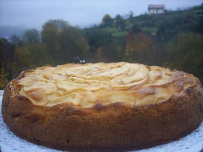 Bizco-tarta de manzana