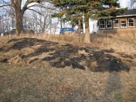 [after+fire+small.jpg]