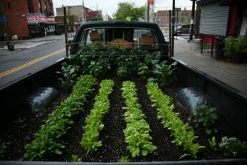 [truck+garden+planted+small+from+wicked+delicate]