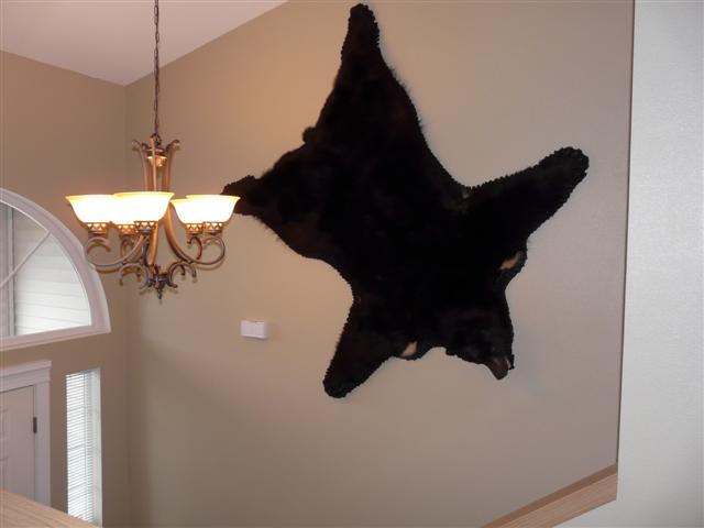 [Jay's+Bear2+001+(Small).jpg]