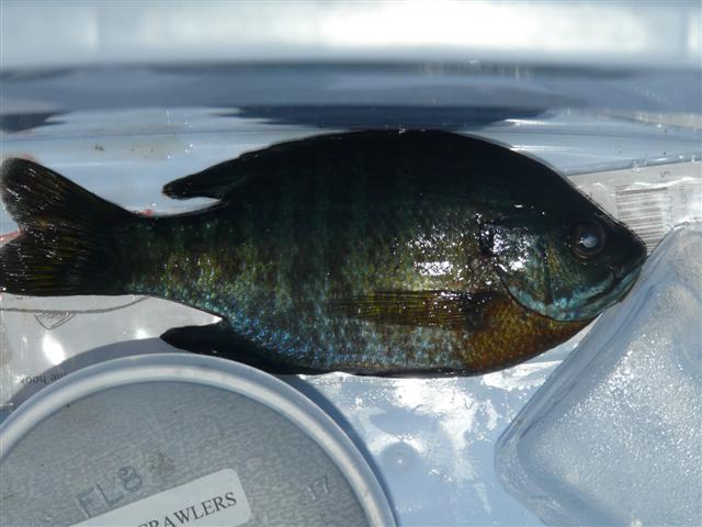 [Jun12+002+(Small).jpg]