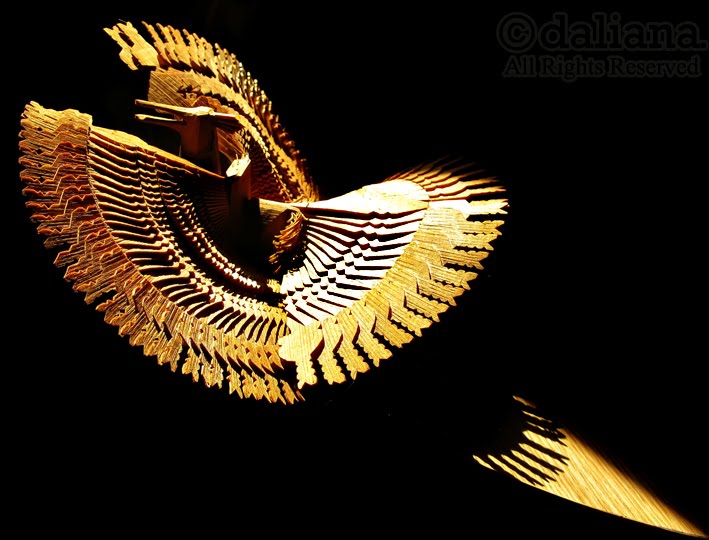 Photographis Rising of The Phoenix Bird