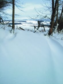 Drifts on Bury Ditches