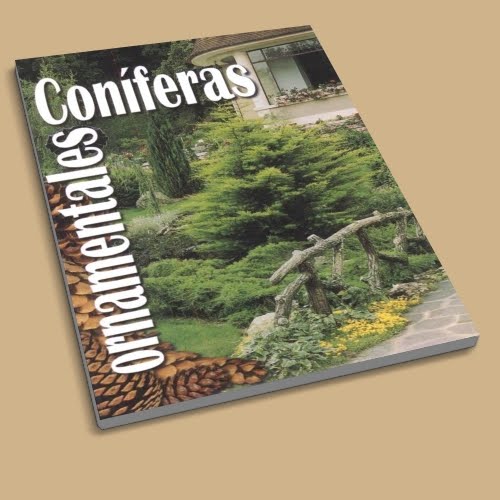 Coniferas+Ornamentales.JPG