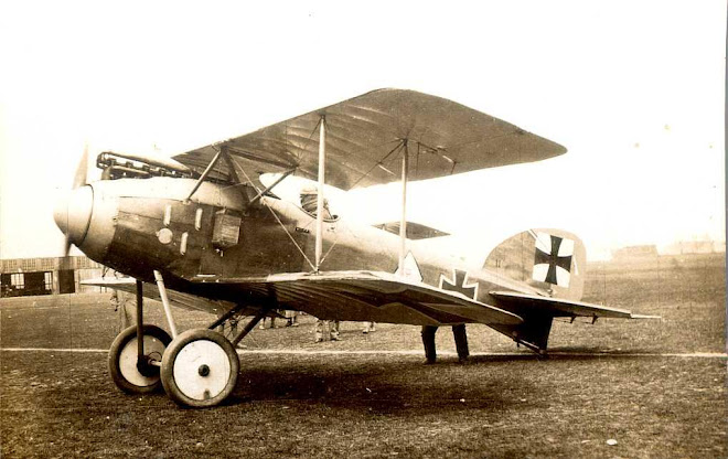 Albatros D II