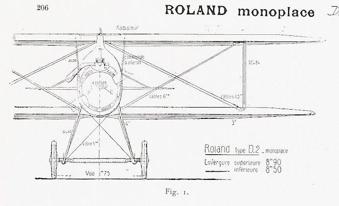 Roland D.II Frontalansicht