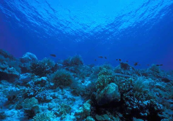Enaknya Berbagi Sejarah Terbentuknya Laut Enaknya Berbagi Sejarah Terbentuknya Laut