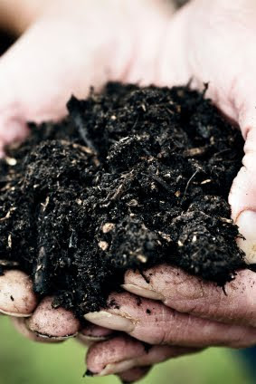 Super Charging Your Compost Pile