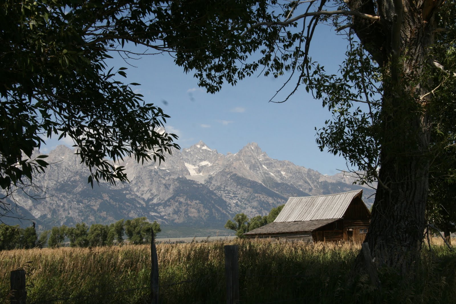 [Yellowstone2008+(11).JPG]