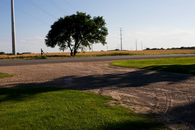 Matthew Sandager Photography Nickelson's Farm Scandia, MN
