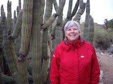Faye in Desert Museum