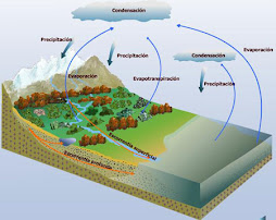 El ciclo del agua