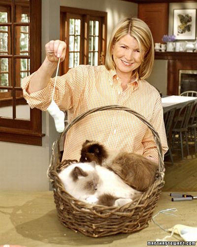 [famous_people_and_their_cats_67.jpg]