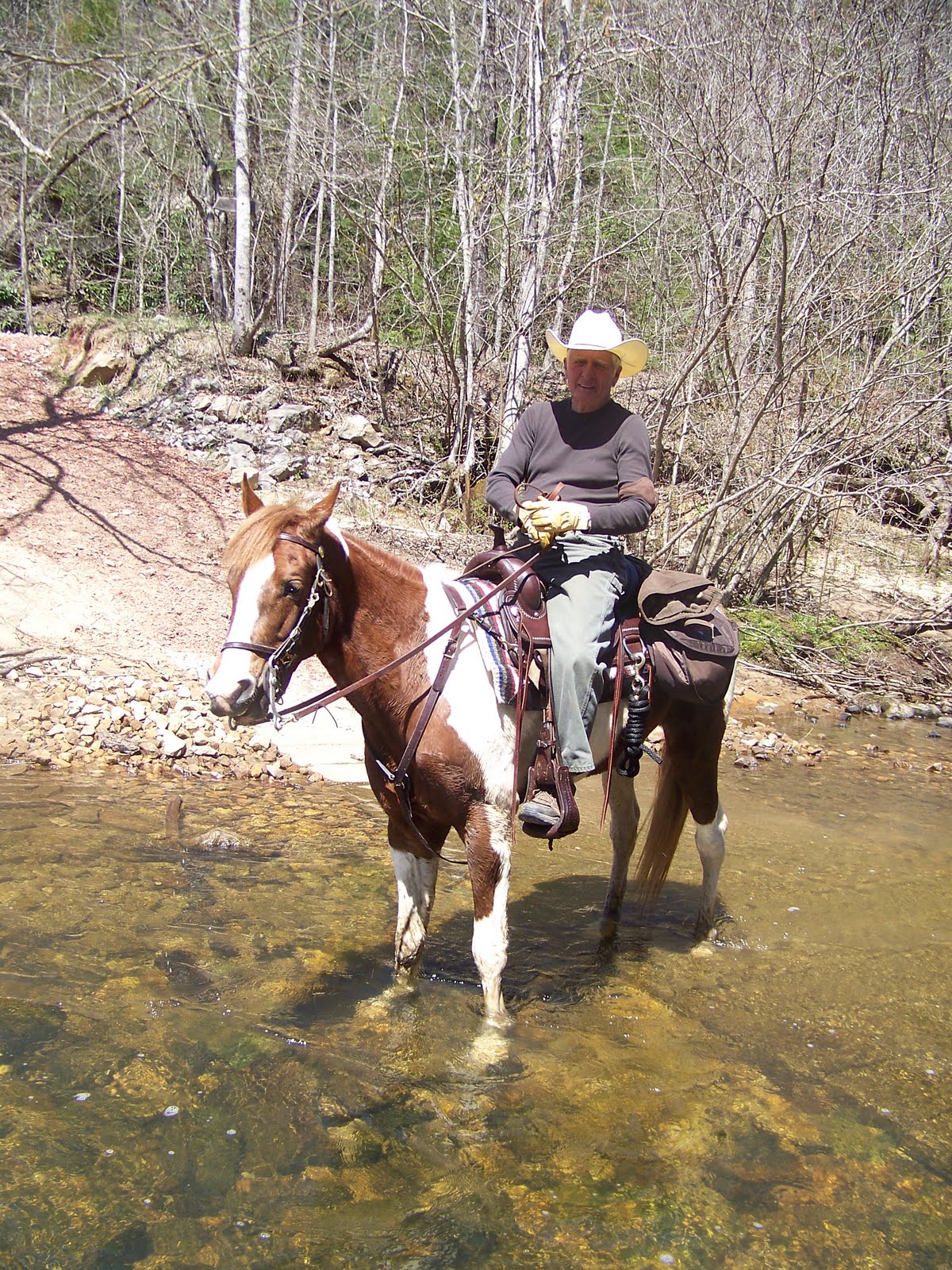 Foxtrotting Trail Riders Of Tennessee ZENITH STABLES RIDE
