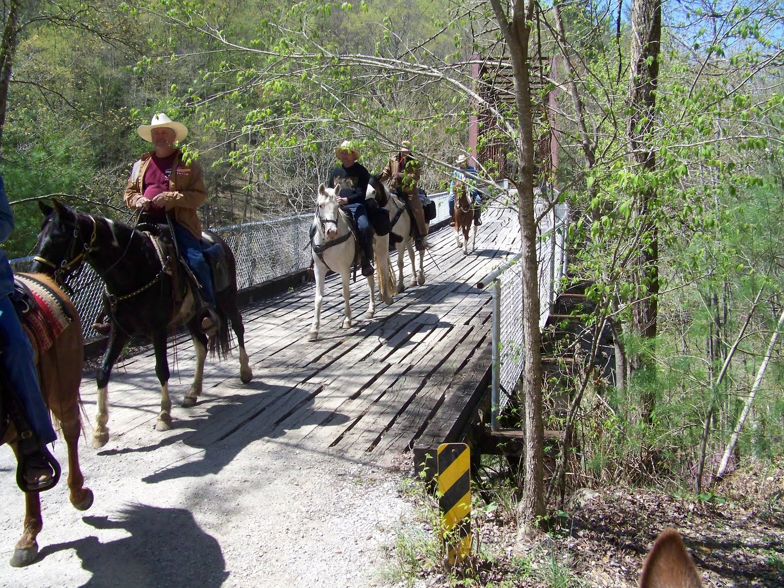 Foxtrotting Trail Riders Of Tennessee ZENITH STABLES RIDE