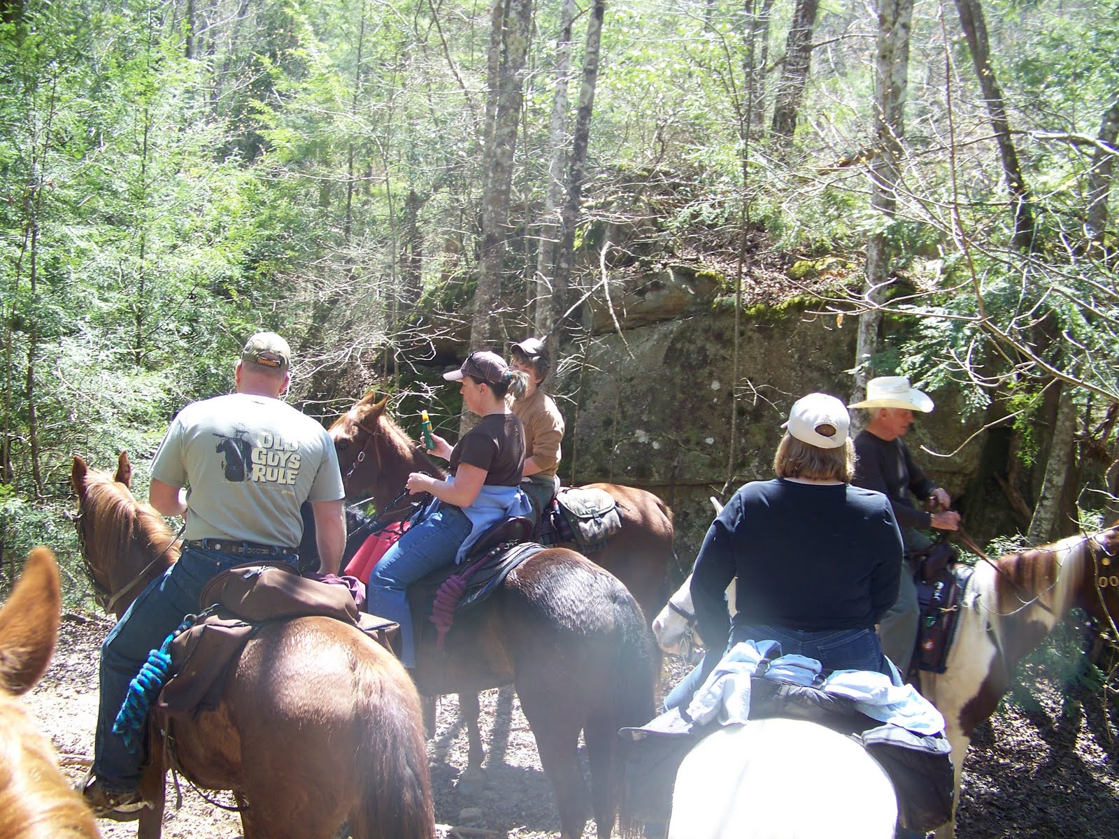 Foxtrotting Trail Riders Of Tennessee ZENITH STABLES RIDE