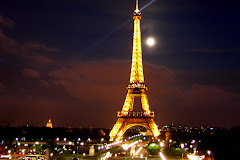 PARIS TOWER