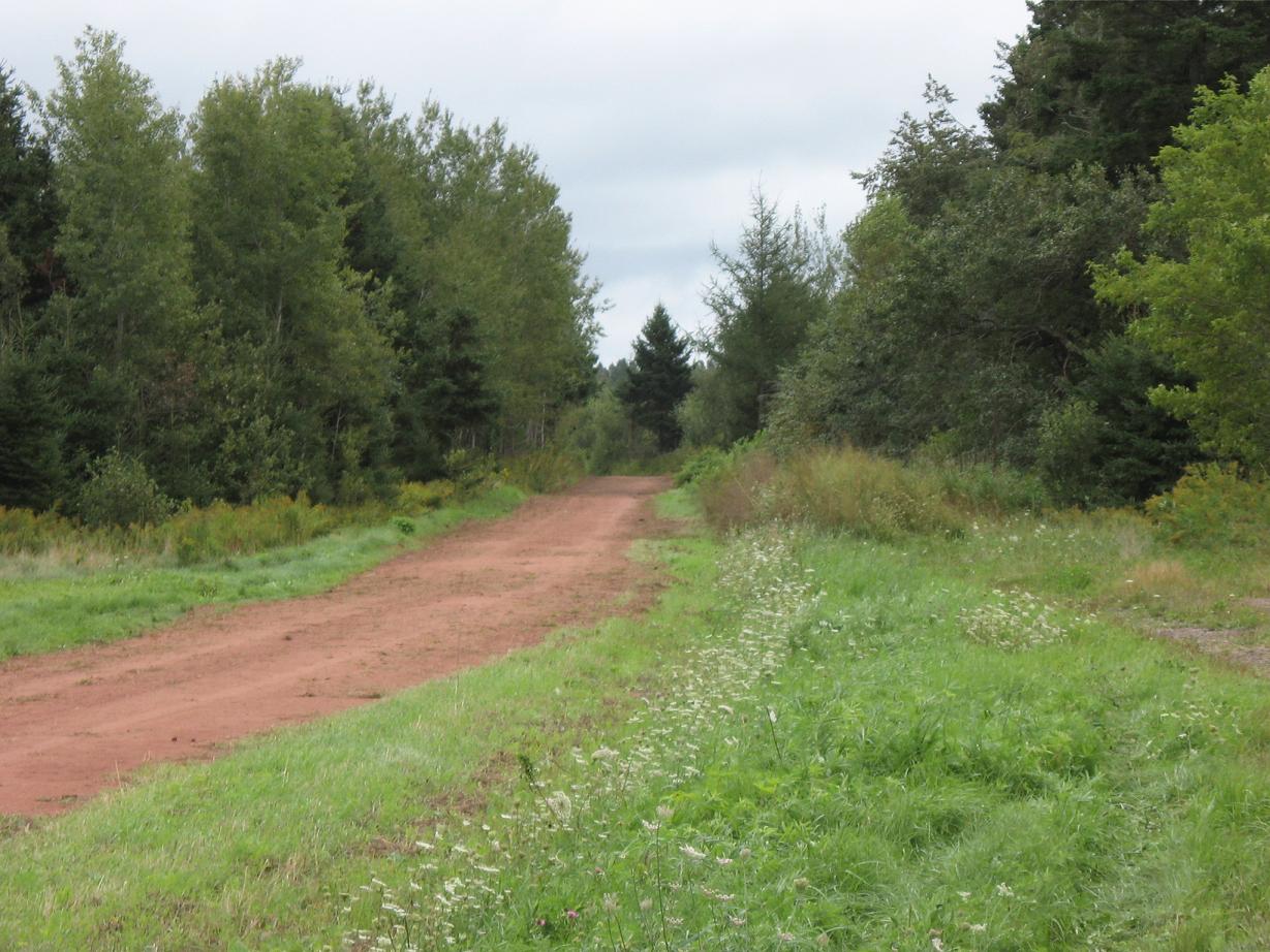 Pedaling PEI Vernon River to Uigg