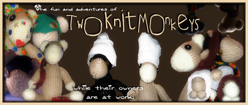 Two Knit Monkeys