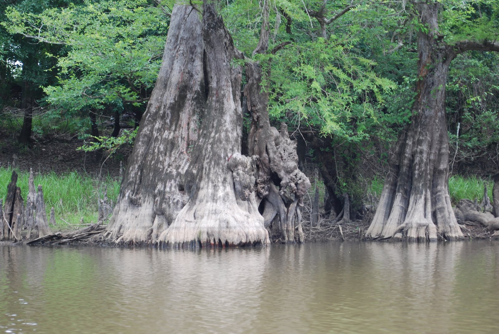 Wright's TrailsEnd Livingston TX