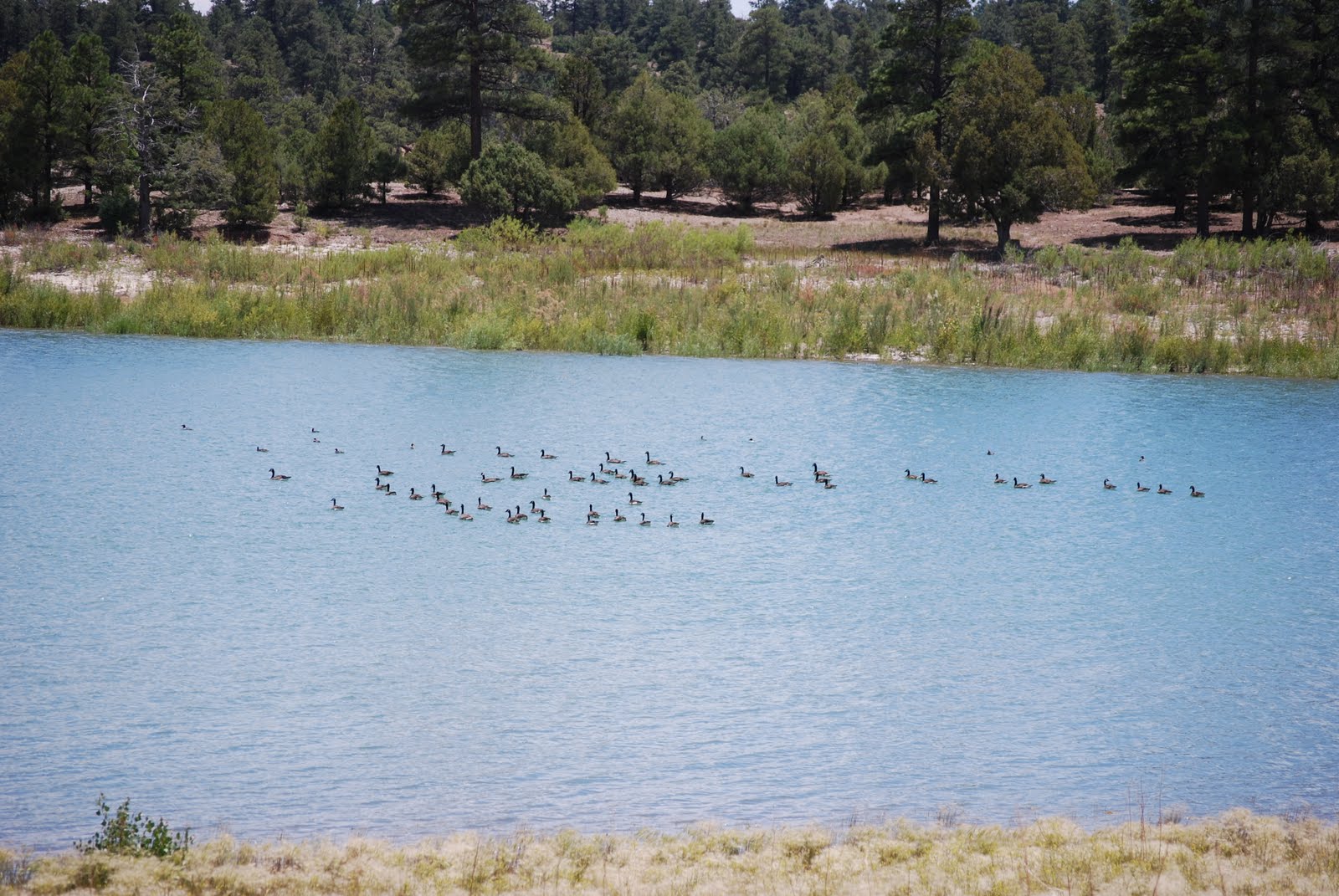 Wright's TrailsEnd Heron Lake State Park