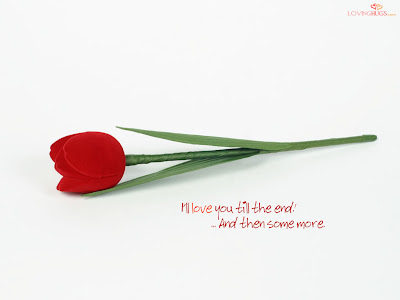 wallpapers of love quotes. punjabi love quotes