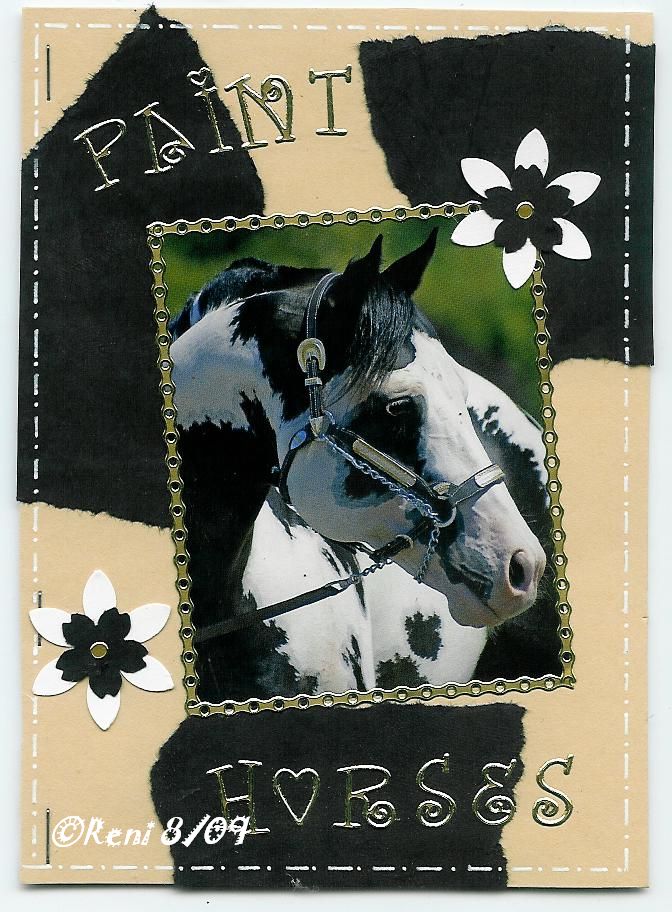 [Paint+Horses+8.09.jpg]