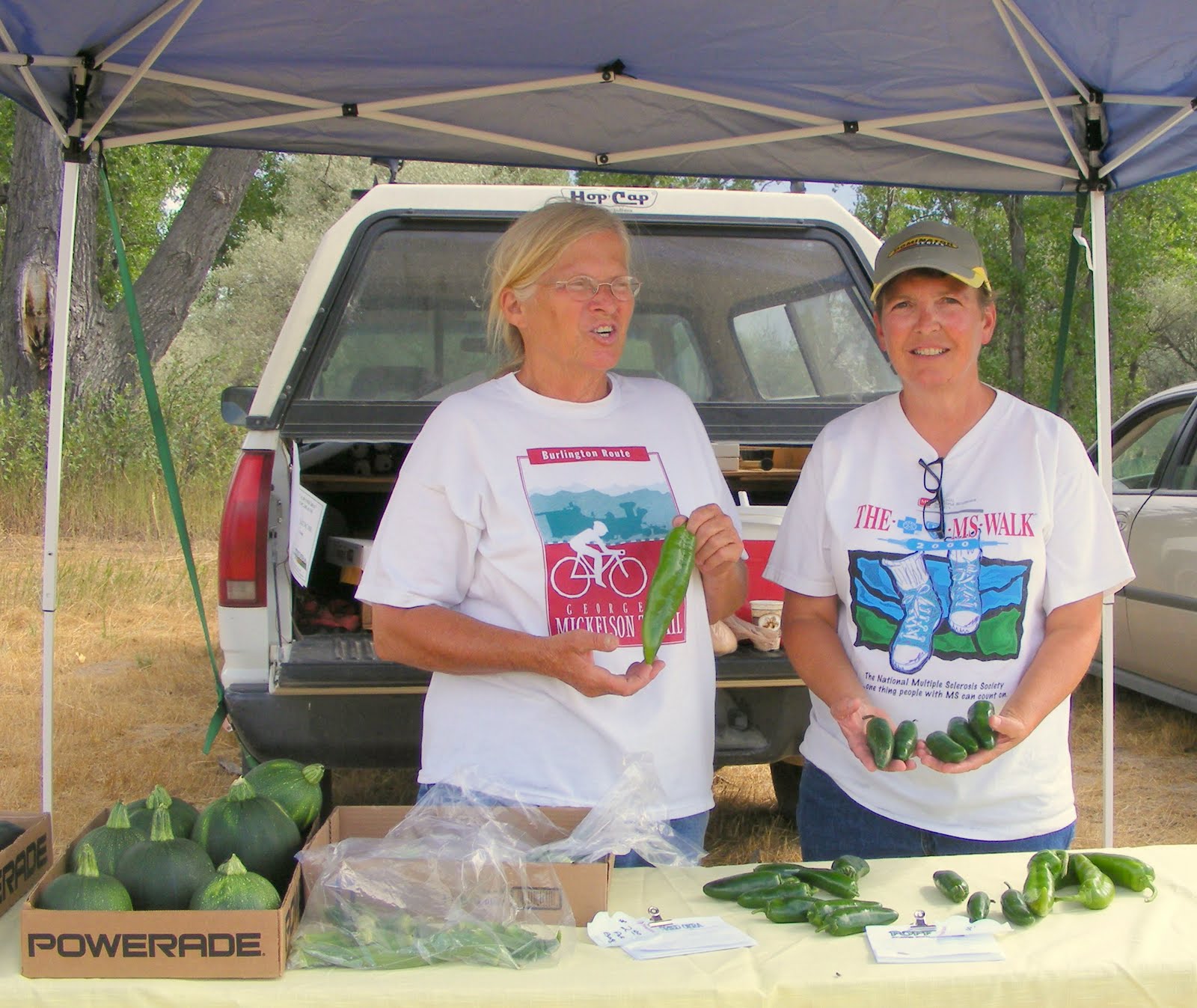 Country Chicken Girl Morrill's Farmers' Market 2010