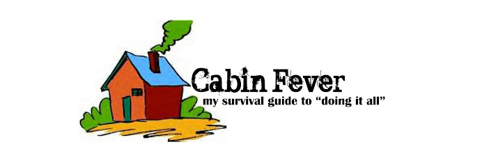 Cabin Fever - my survival guide to "doing it all"
