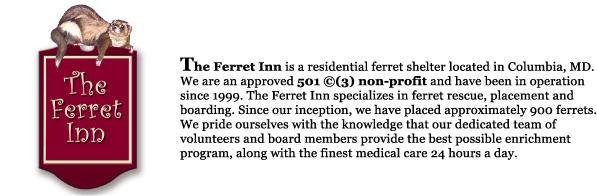 The Ferret Inn