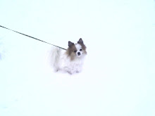 Princess