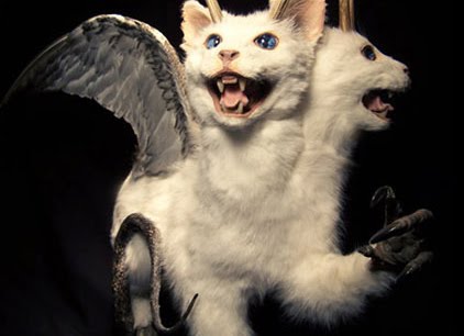 [sarina-brewer-2.jpg]