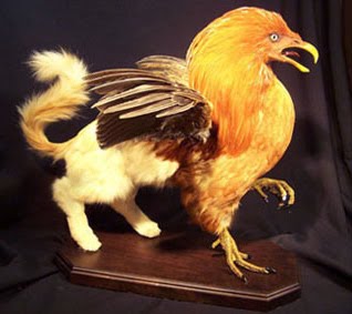 [sarina-brewer-3.jpg]