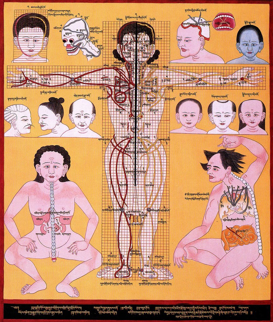 [3750383426_3b46fdc5d6_b.jpg]