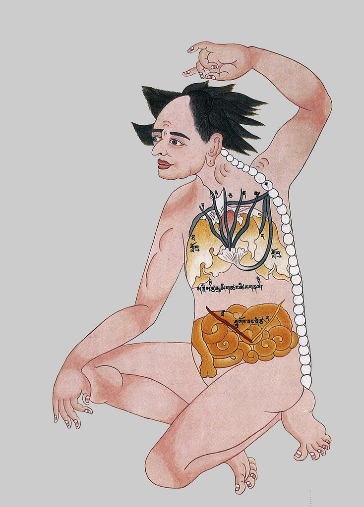 [3750834748_dc6c5db896_b.jpg]