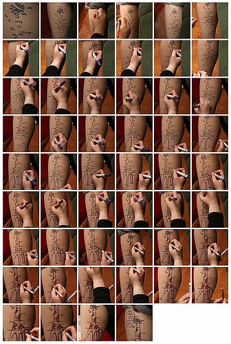 [2120388951_a2376c4158.jpg]