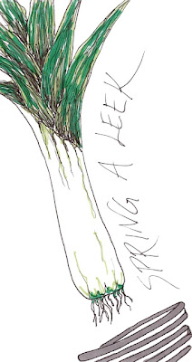 ink and marker drawing of a leek flying out of a spring