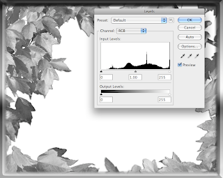 How To Make An Artistic Edge In Photoshop Using Screen and Multiply