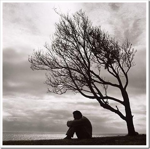 [image_thumb[10].jpg]